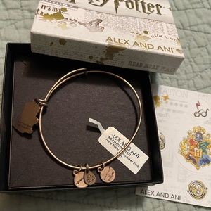 Alex and Ani x Harry Potter bangle